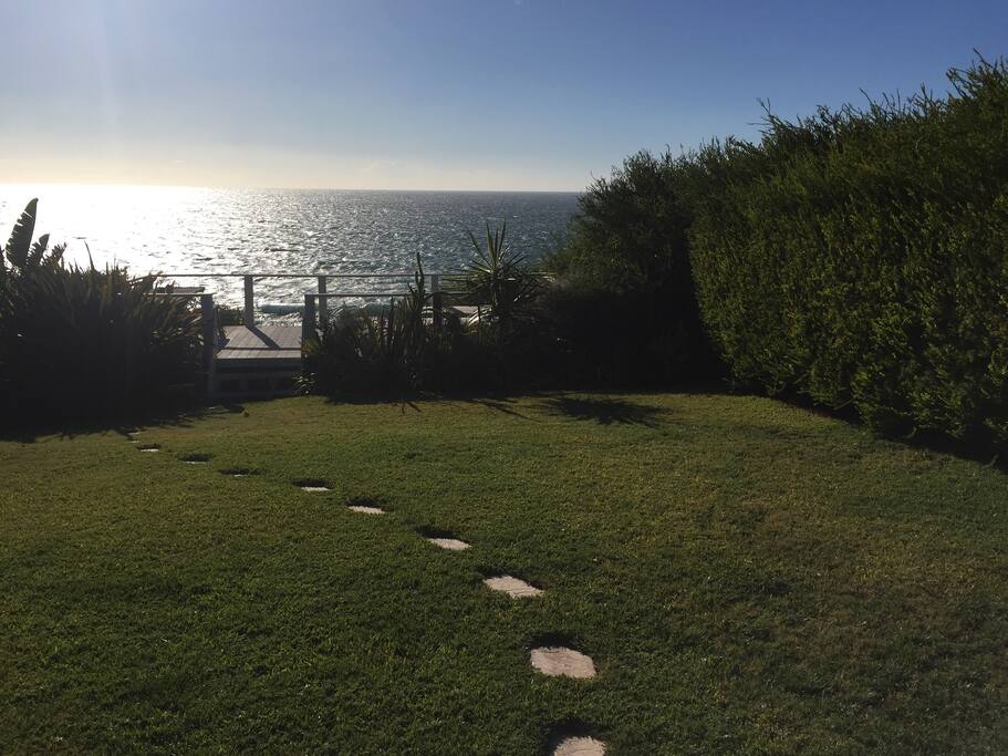 Private Yard View 1