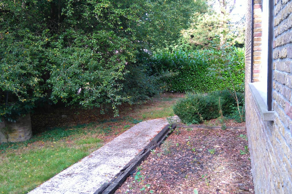 the garden 2