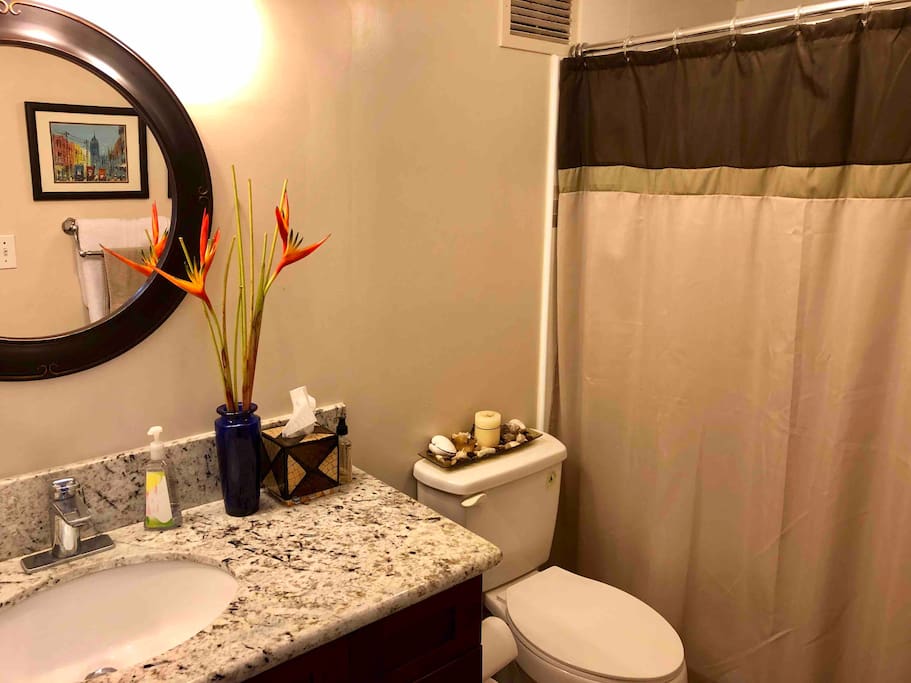 Bathroom with large stand up shower