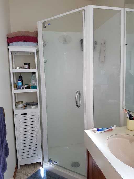 Bathroom shower