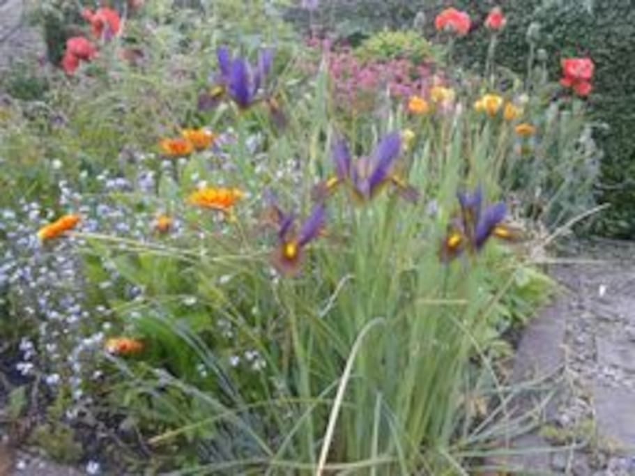 Front garden