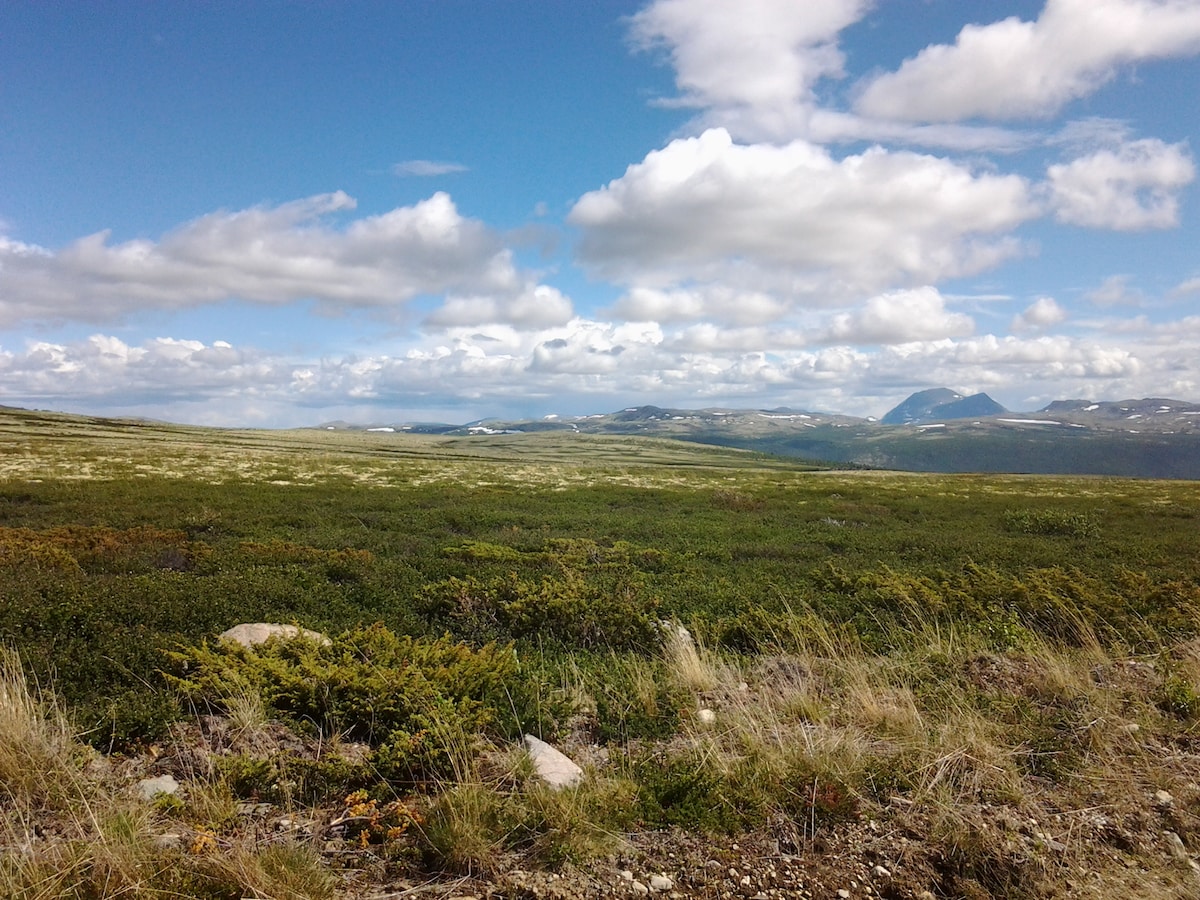 A wide-open landscape is displayed, featuring rolling hills covered in lush green vegetation. The sky is populated with fluffy clouds, casting varying shadows on the terrain. Snow-capped mountains can be seen in the distance, contributing to the natural beauty of the setting.