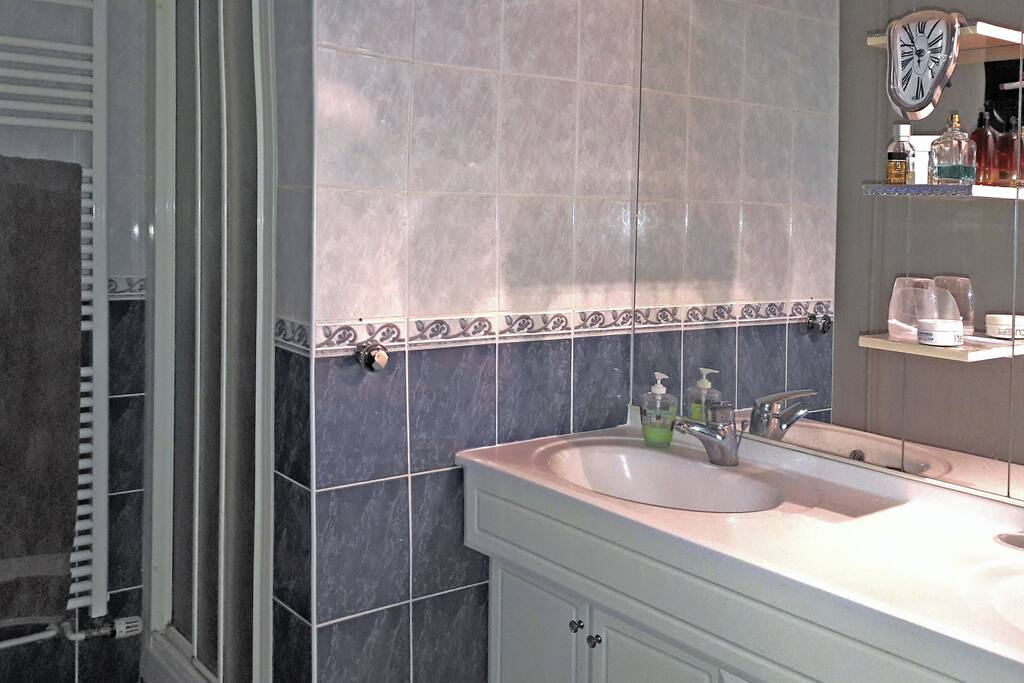 La salle de douche avec double vasque
