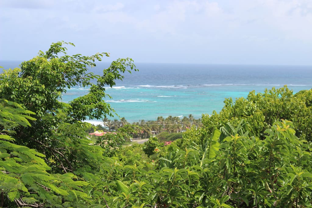 Vue sur le lagon
