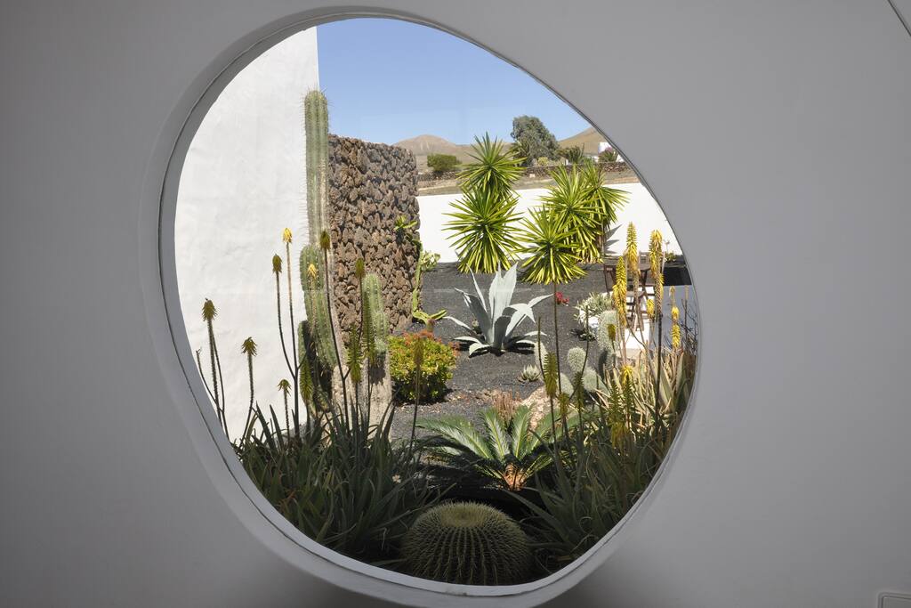 El jardín de cactus de la casa.