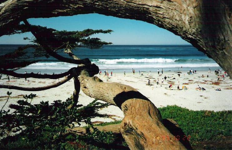 Airbnb Monterey Ferienwohnungen Unterkunfte Kalifornien
