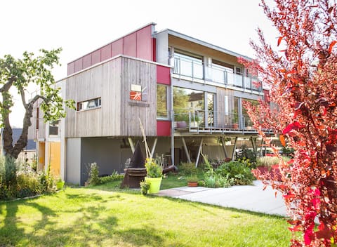 Modern designed guest house