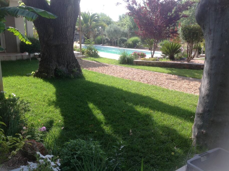 Vue du jardin