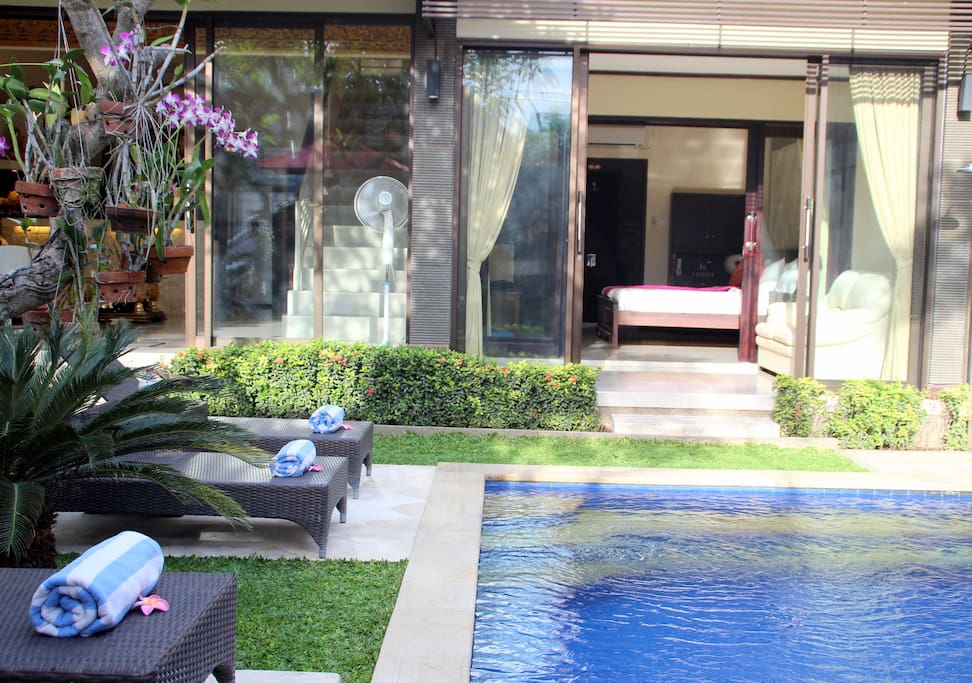 Swimming Pool View