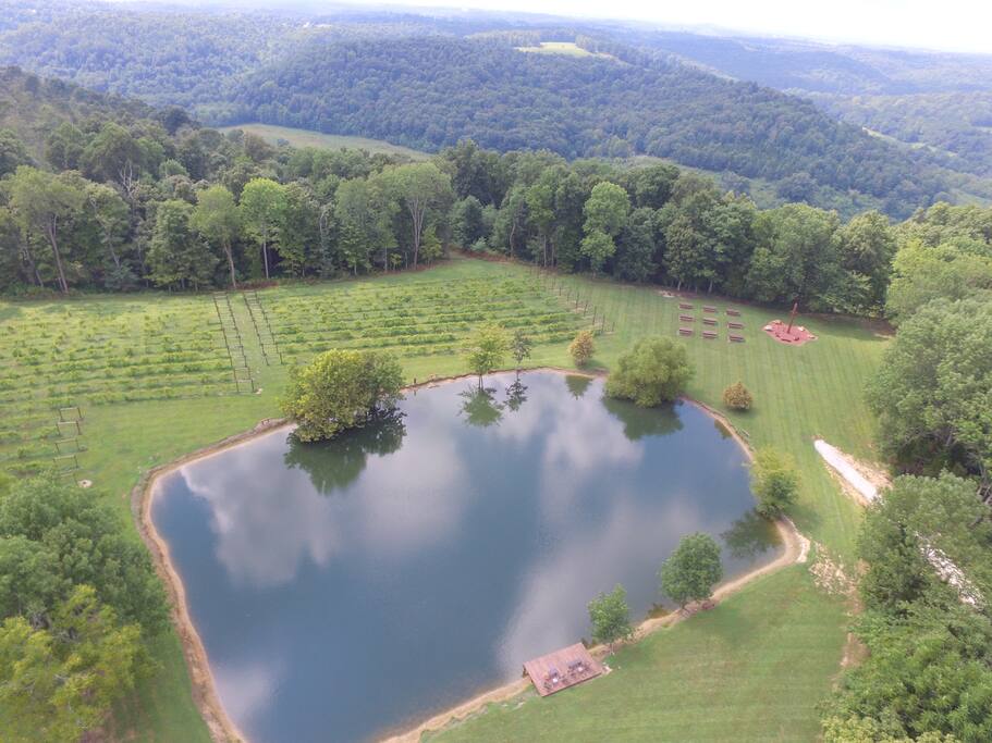 Arial View of Pond and Vineyard 10