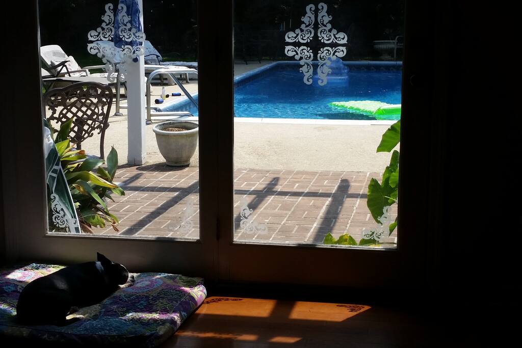 Pool from Kitchen