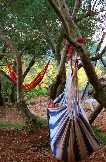 Hammocks for relaxing near rooms