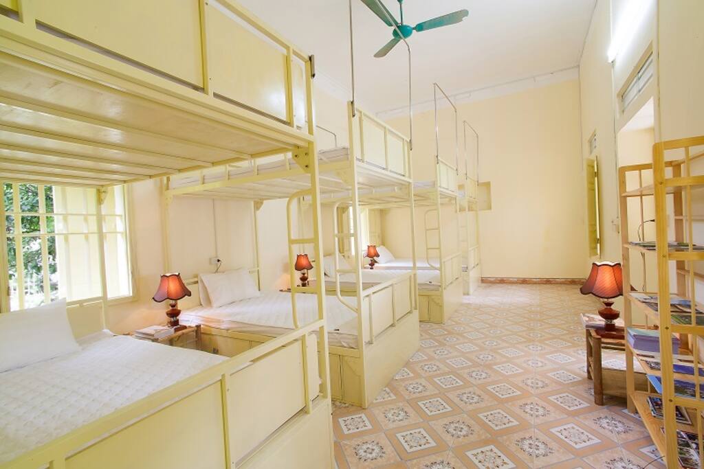 Dorm - Bunk Bed