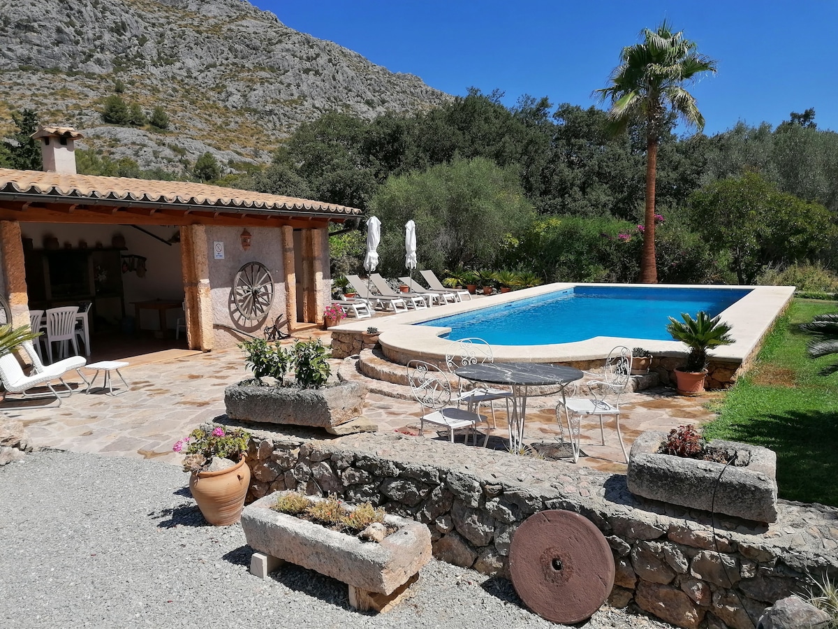 A tranquil outdoor area features a classic stone patio surrounding a rectangular pool, flanked by sun loungers and shaded umbrellas. A dining table with white chairs is positioned near the pool, complemented by lush greenery and a palm tree in the background.