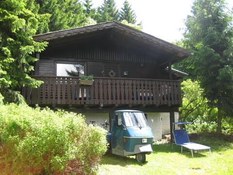Cozy bear hole in the Rhön
