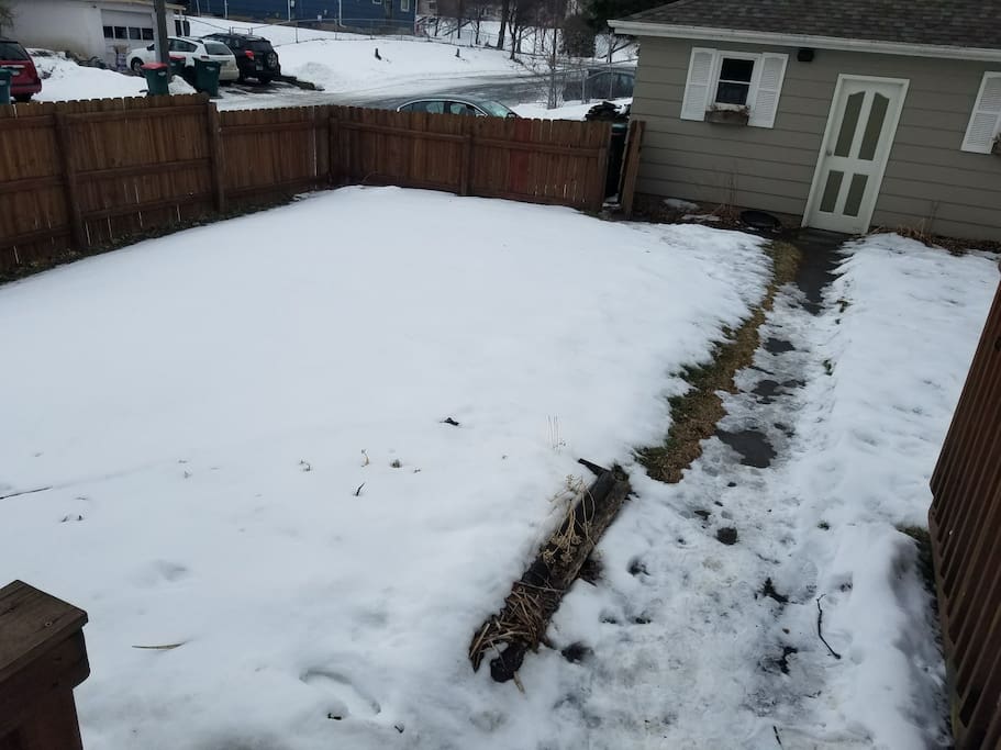More of backyard