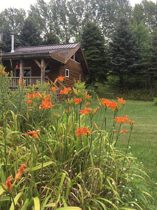 Summer at the little cabin