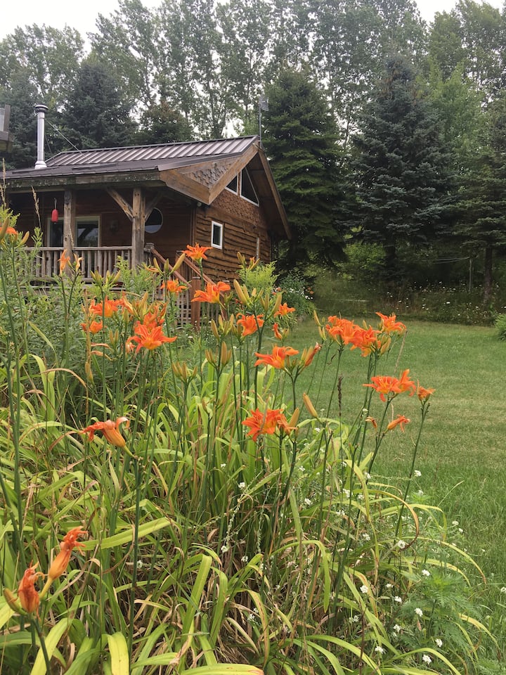 Little Cabin at Rocky Top Farms (dog friendly!) Cabins for Rent in