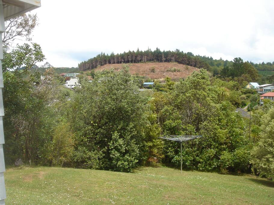 View from the patio