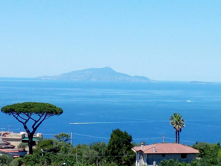 view of our terrace