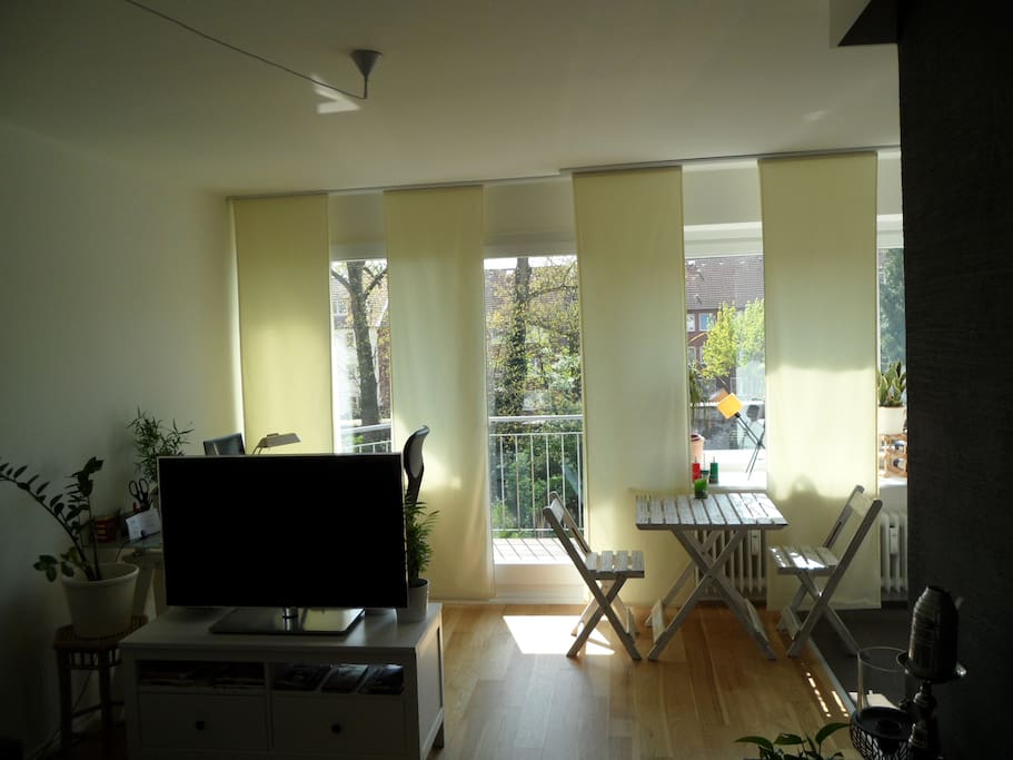 Living room from the sofa bed's perspective
