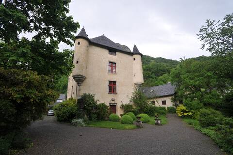 Manor House in the Pyrénées