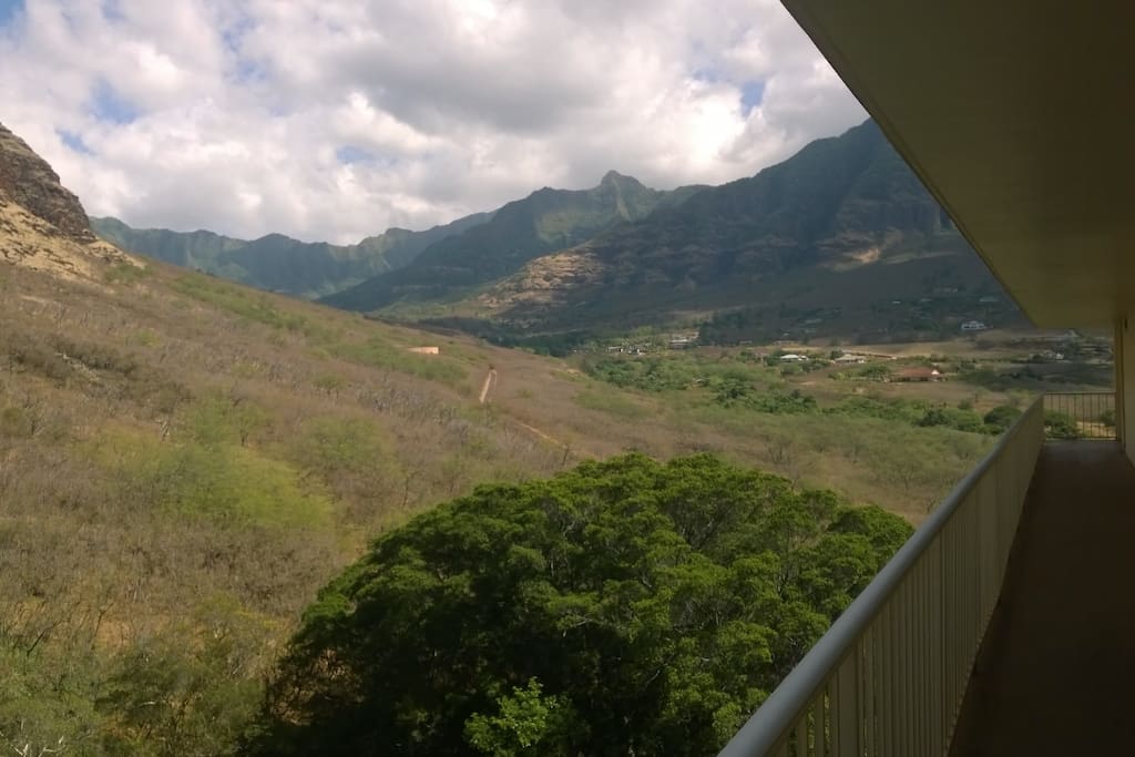 Out back