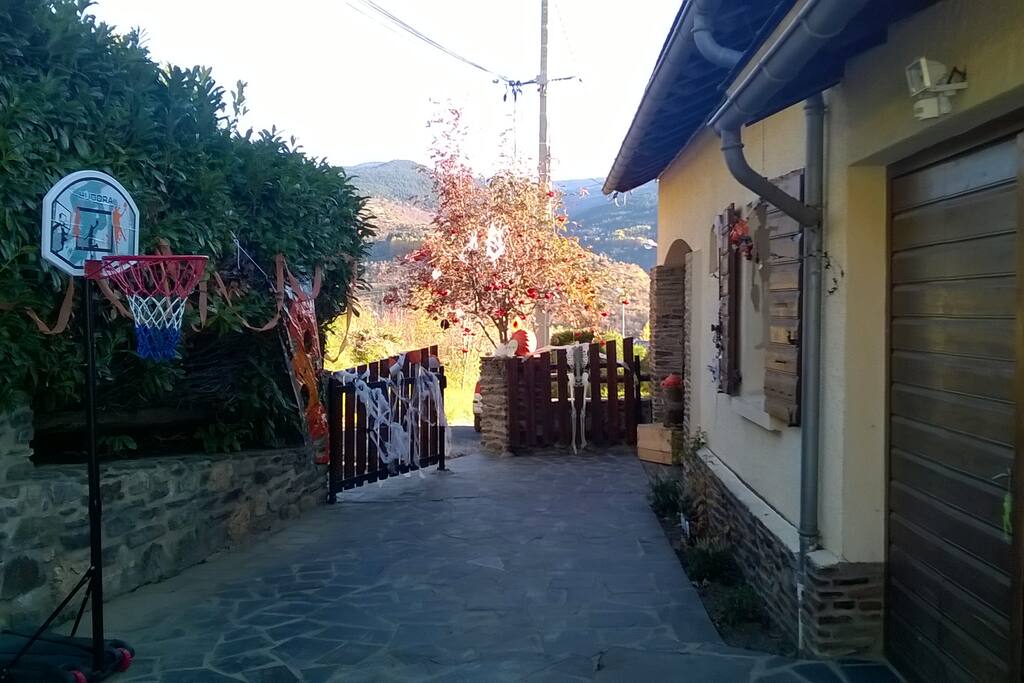 Front yard