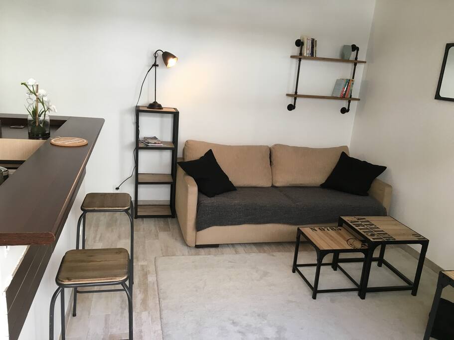 Salon Canapé