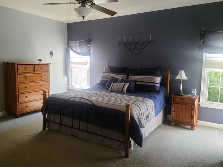 Spacious master bedroom on main level with king size bed