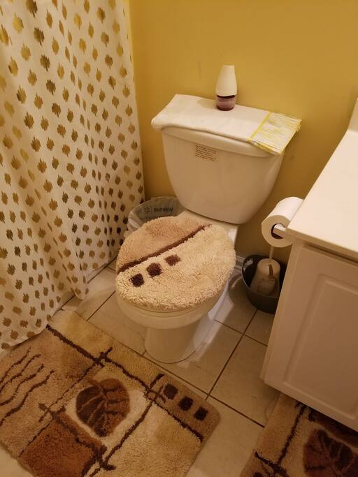 The guest bathroom