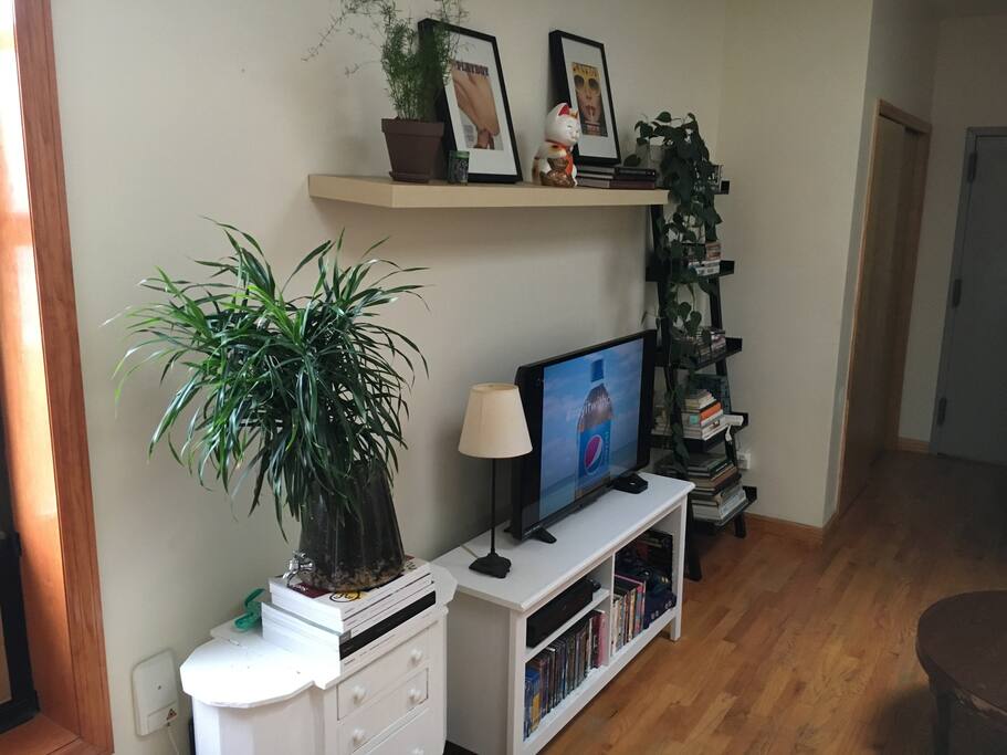 TV!!! We have Apple TV with Hulu and Netflix