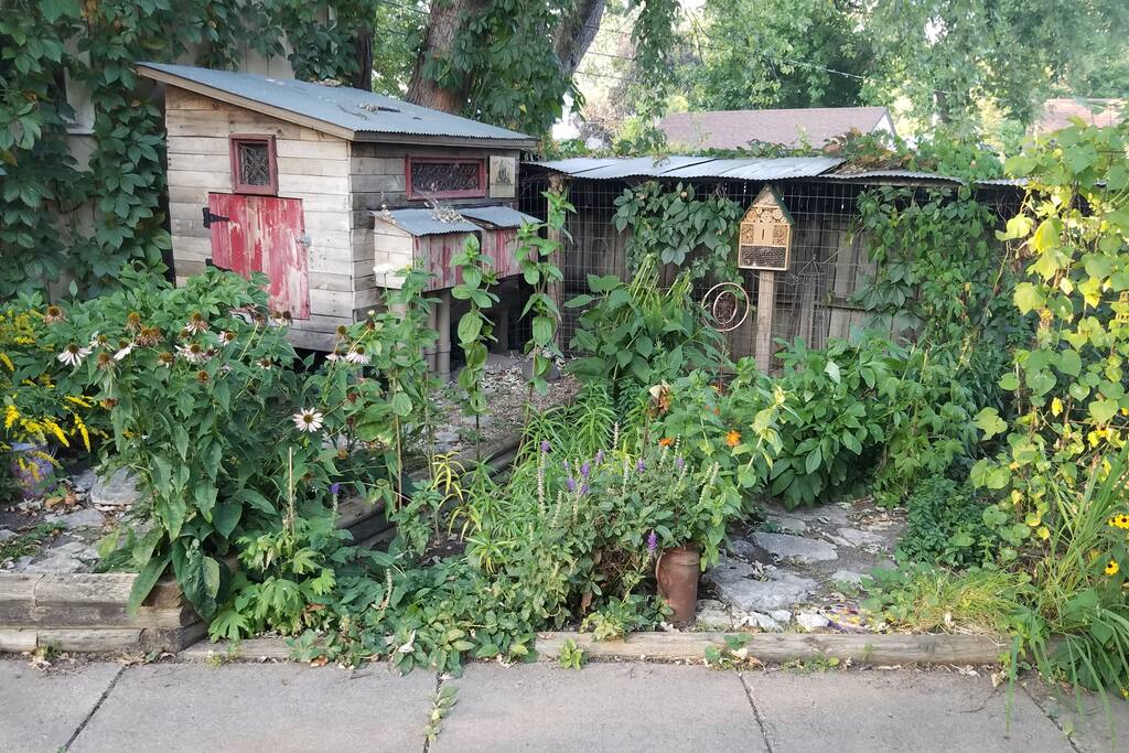 Chicken coop. They are quiet, and we get fresh eggs!