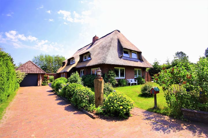 Hortensie - Reetdachhaus Petersen