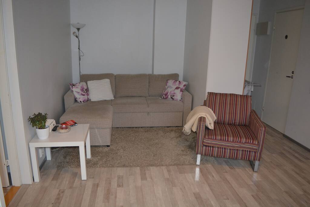 That couch is a pull out couch and there is sleeping places for two persons.