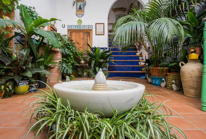 Unique quiet patio flat in historic house