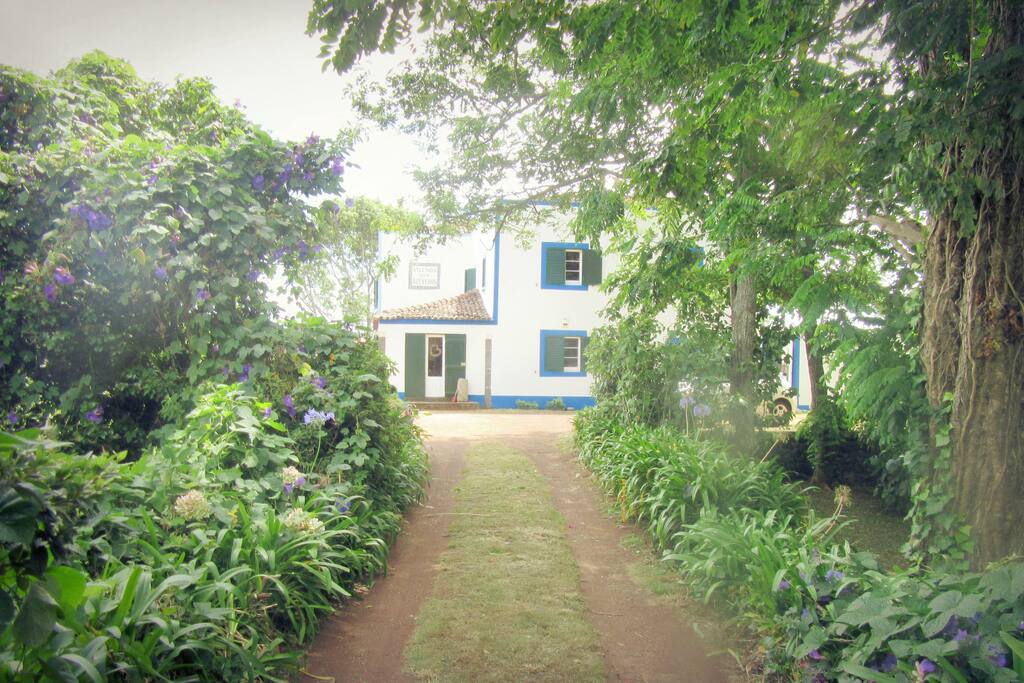 Welcome to Zen Garden Studio