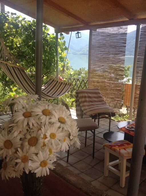Backyard view