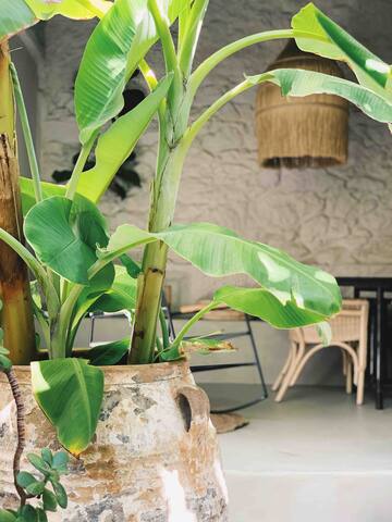 casa Somos Suenos gallery image 4