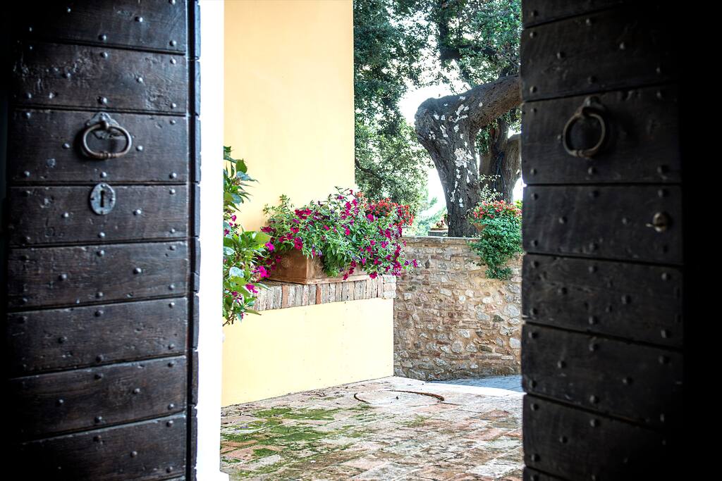 Ingresso