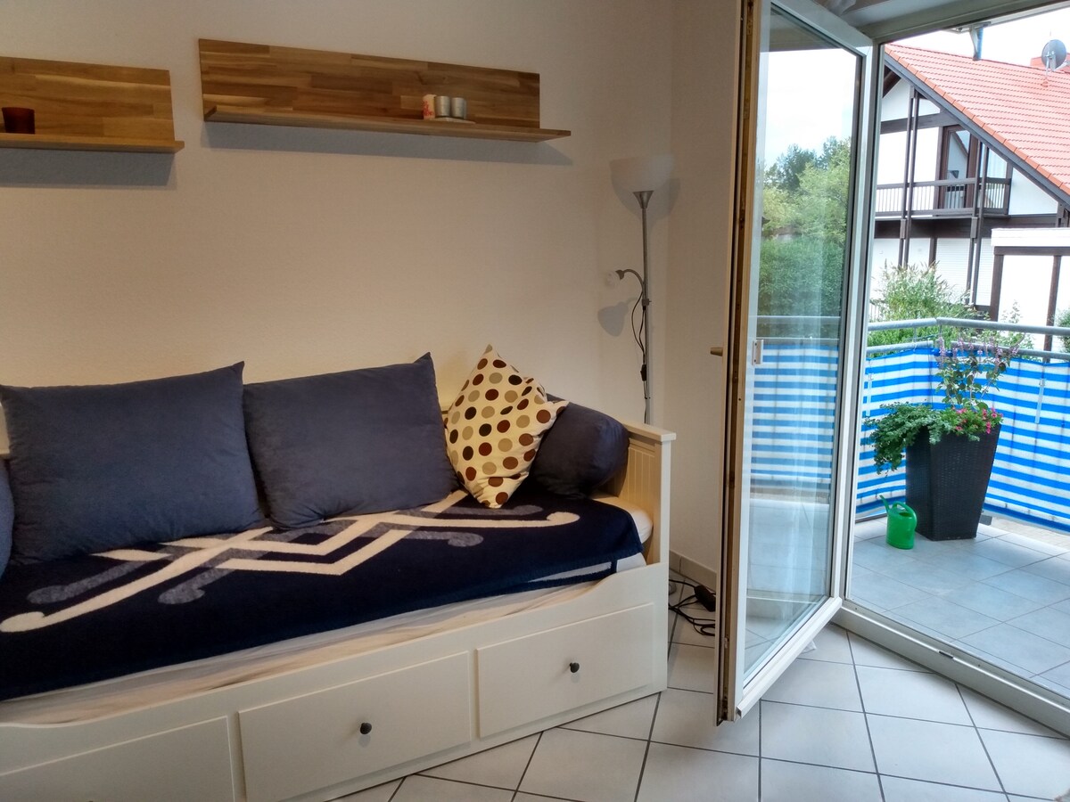 Dhoma e ndenjjes me ballkon