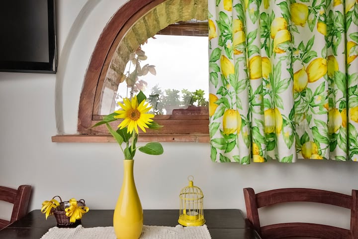 Градинският прозорец 