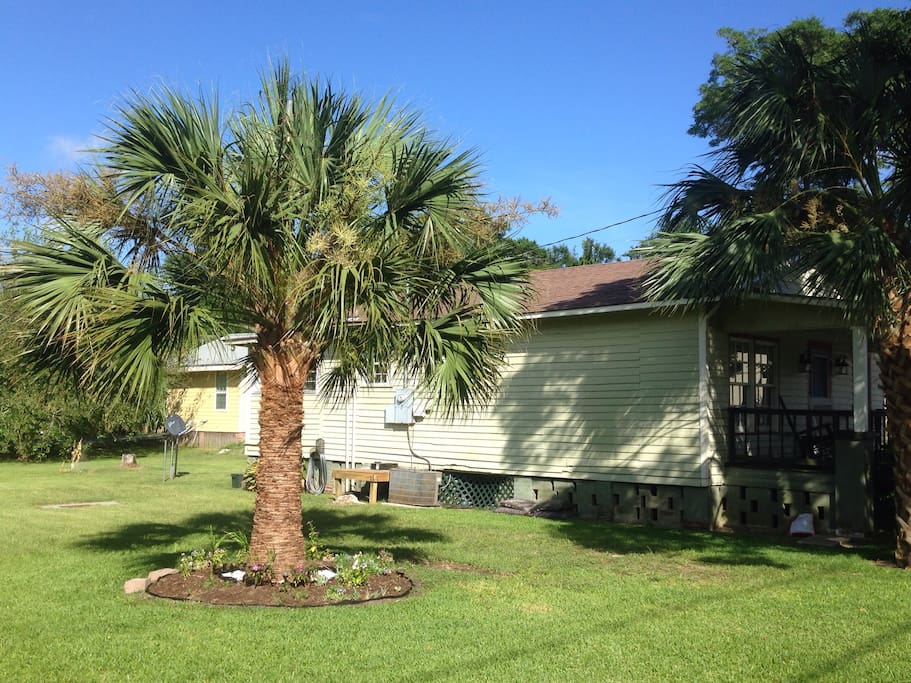 At night there are lights on the pretty palm in the side yard