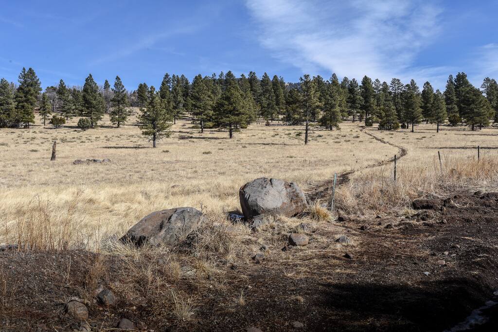 Trail literally across the street!
