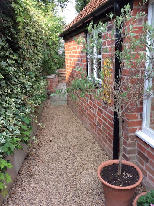 Outlook from Garden Room