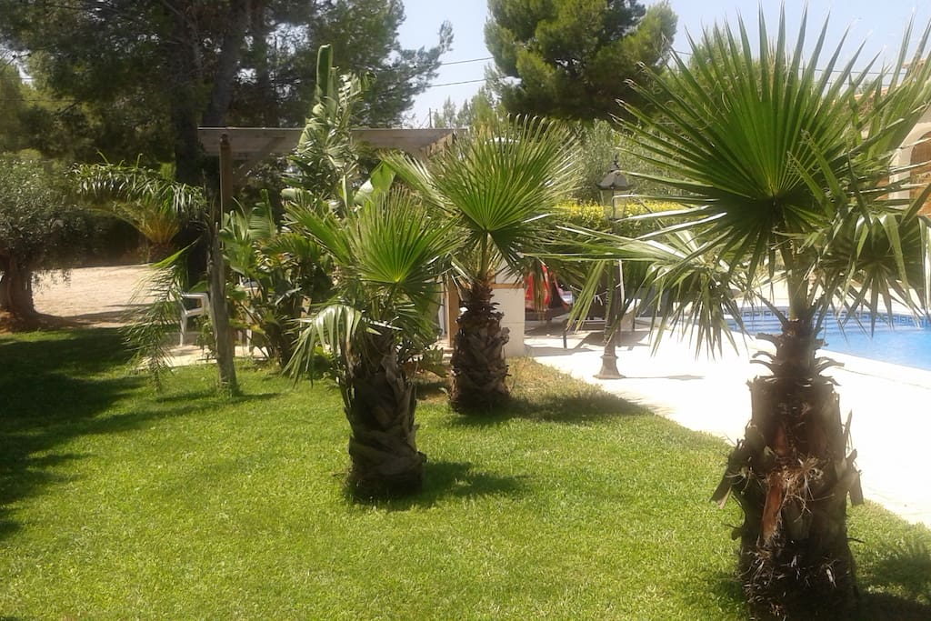 LE JARDIN TROPICAL
