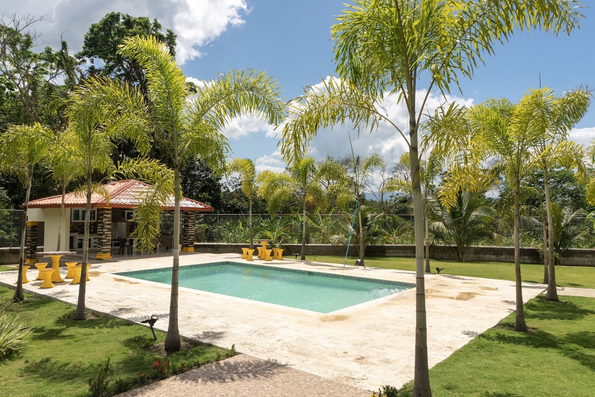 A spacious outdoor pool area is surrounded by palm trees, offering a relaxing ambiance. A small structure with a red-tiled roof is visible, along with yellow seating arranged around the pool. Lush greenery lines the perimeter, contributing to a tranquil environment.
