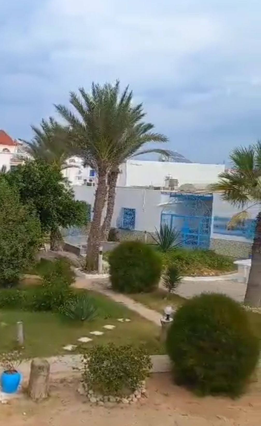 A landscaped garden is filled with palm trees and various shrubs, creating an inviting outdoor space. Pathways meander through the greenery, leading to a building with blue accents. The setting offers a serene atmosphere close to the coastal area.