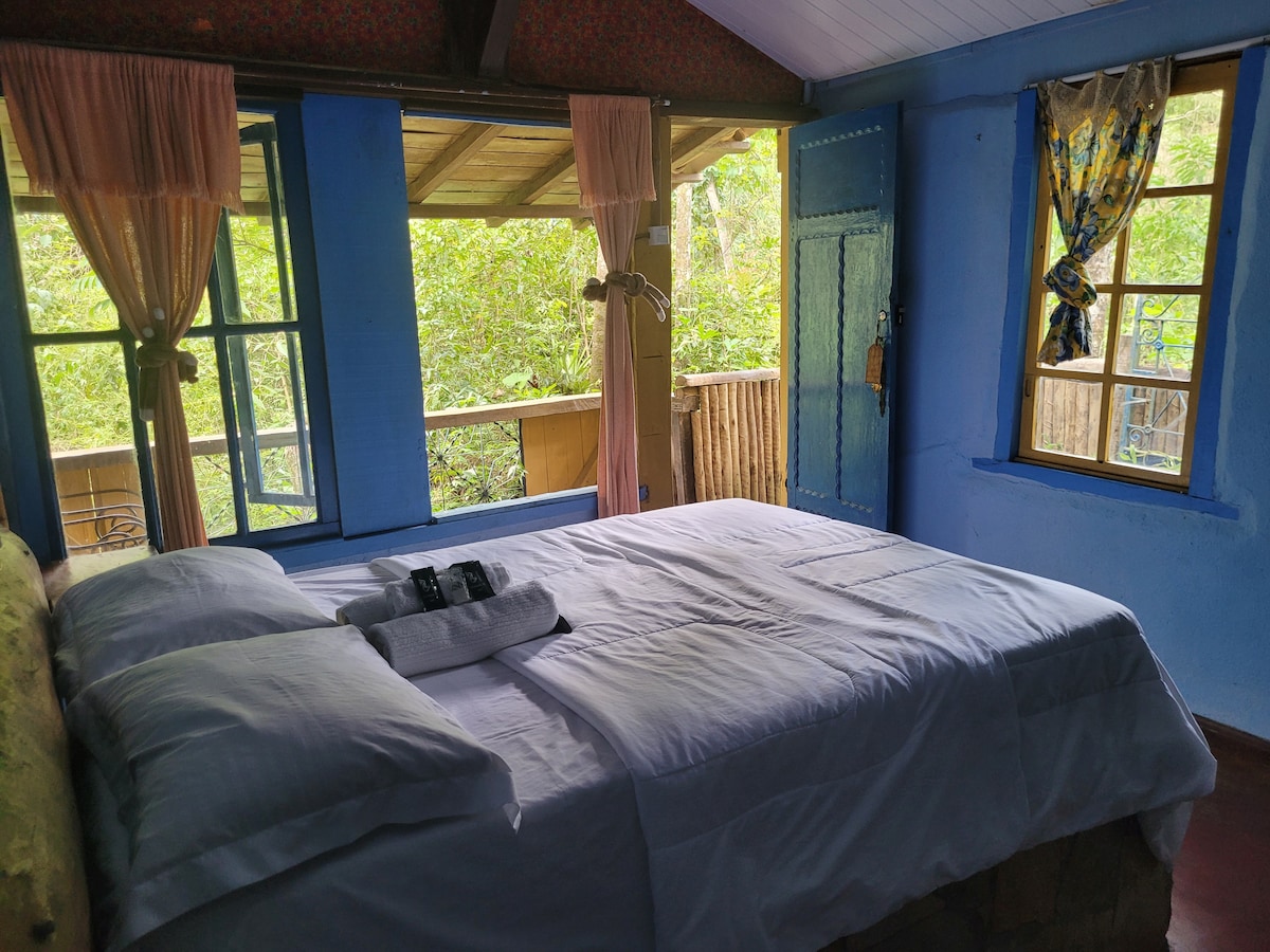 A spacious bed is centered in a cozy room, adorned with soft white linens. Large windows invite natural light and showcase views of lush greenery outside. Soft drapes complement the vivid blue walls, enhancing the serene atmosphere.