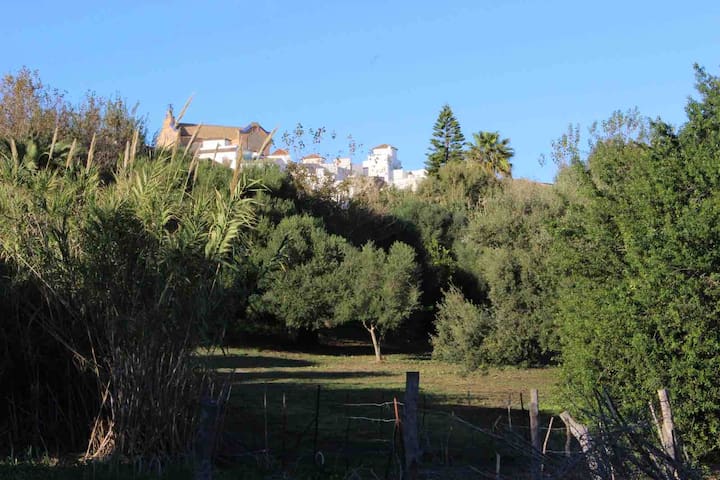listing_image